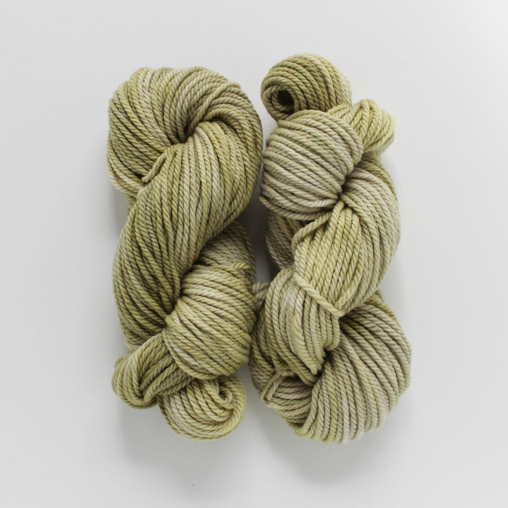 Lichen Handdyed Worsted Yarn