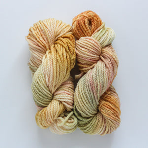 
                  
                    Load image into Gallery viewer, Summer Melon Handdyed Worsted Yarn
                  
                
