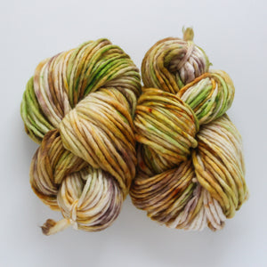 
                  
                    Load image into Gallery viewer, Autumn Leaves Handdyed Chunky Yarn
                  
                