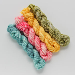 
                  
                    Load image into Gallery viewer, Mini Handdyed Worsted Yarn
                  
                