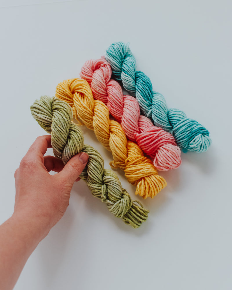 
                  
                    Load image into Gallery viewer, Mini Handdyed Worsted Yarn
                  
                