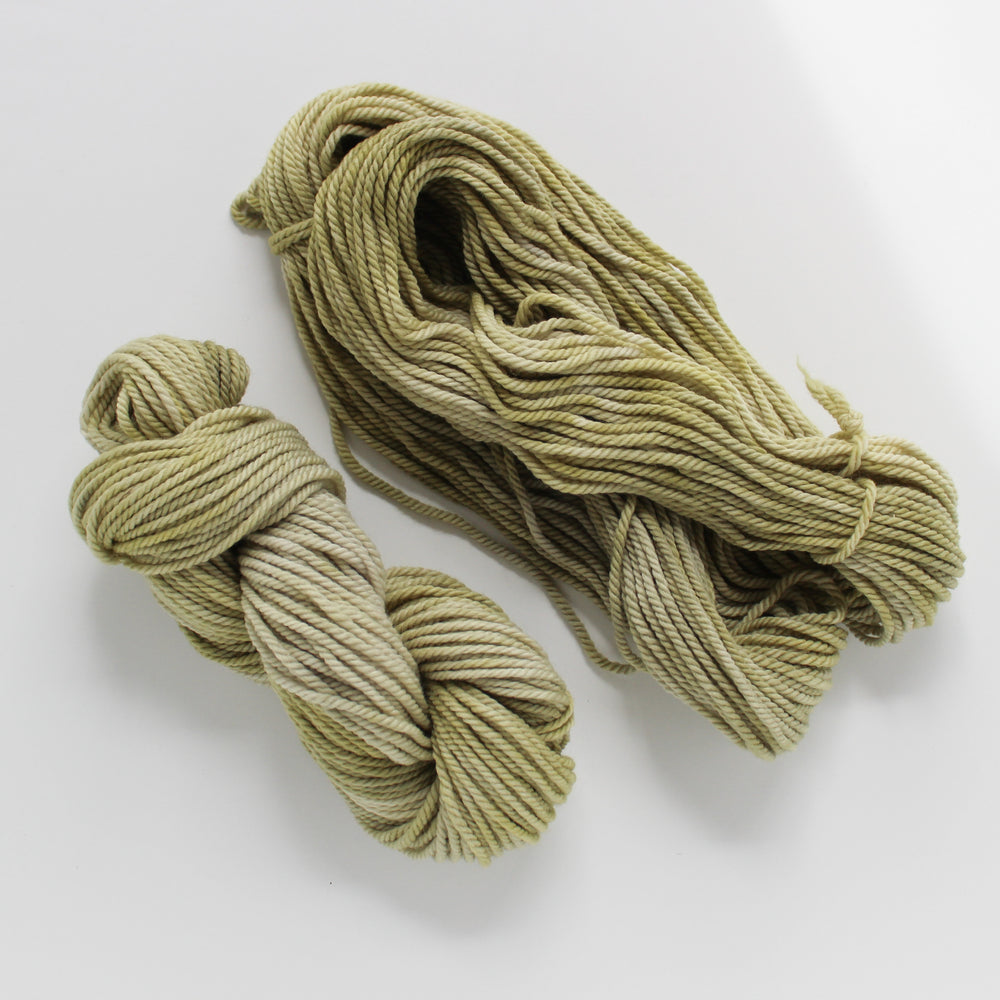
                  
                    Load image into Gallery viewer, Lichen Handdyed Worsted Yarn
                  
                